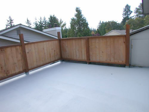 Lower level fireplace